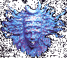 Shpongle icon (7Kbyte)