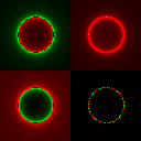 Instantaneous light field (9Kbyte)