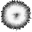 Nunci (2Kbyte)