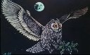 Owl (4Kbyte)